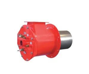 Голова сгорания Riello BPR 300 RAM