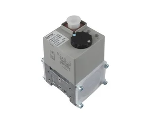 Двойной электромагнитный клапан Dungs DMV-D 503/11, 110-120 В