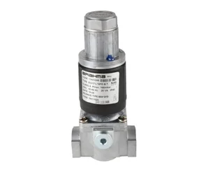 Газовый электромагнитный клапан Brahma EG12*L*GFD 13923205