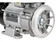 Насос для топлива Piusi Panther EX 56, 220В
