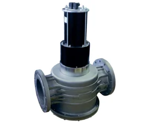 Газовый электромагнитный клапан Madas EVPCF070066 008